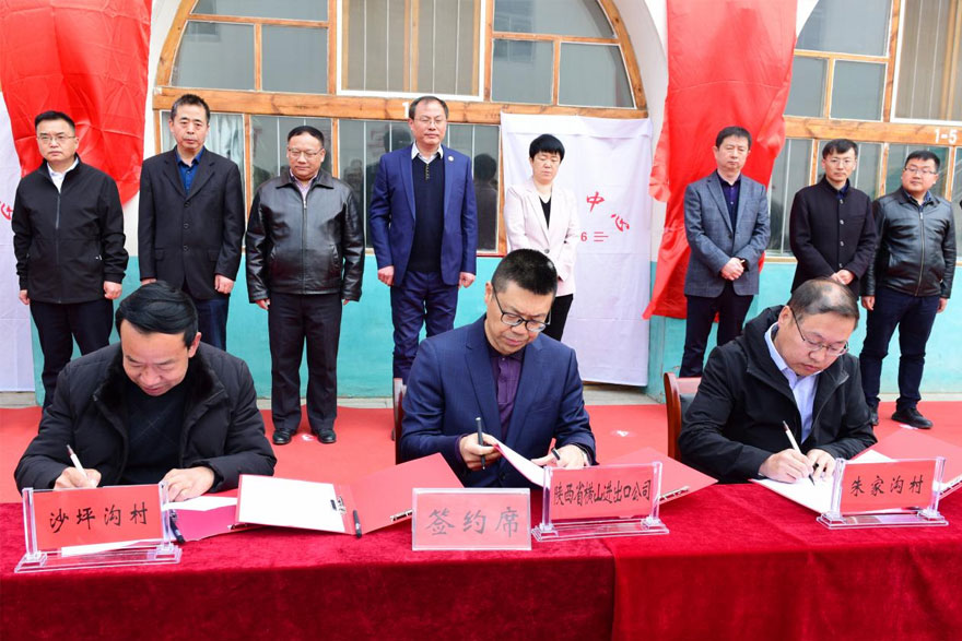 051628125434569917.jpeg 2.jpg