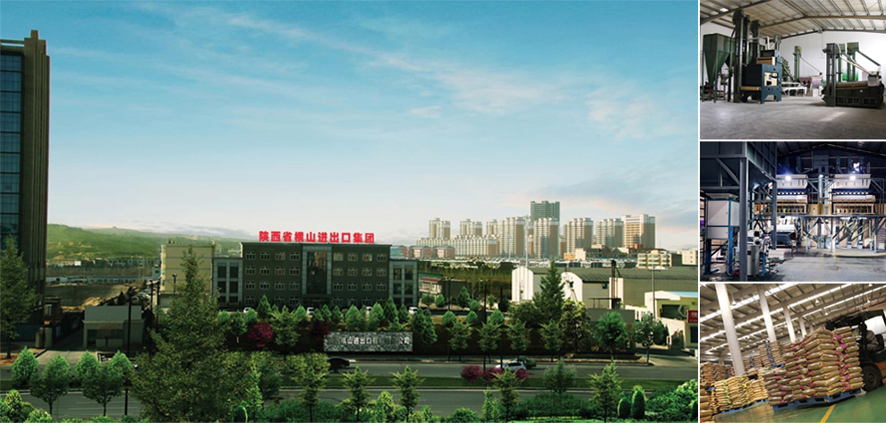 111726016450450462.jpeg 01企業(yè)簡介.jpg