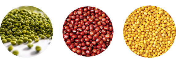 111726018421578803.png a01.png